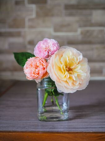 The beautiful roses in my garden bloom in the morning sun.の写真素材