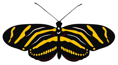 Abstract vector illustration of butterflyのイラスト素材