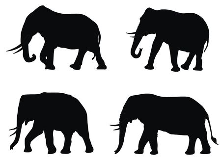 Abstract illistration of elephants silhouettesの写真素材