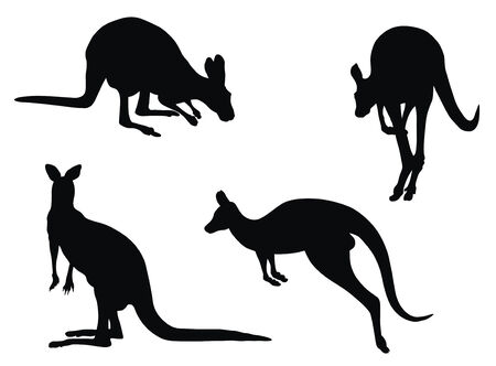 Abstract vector illustration of kangarooのイラスト素材