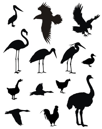 various birds silhouettesのイラスト素材