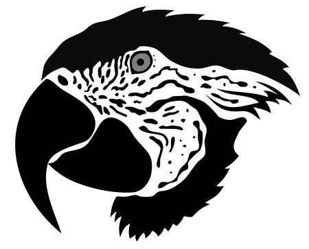 Abstract parrotのイラスト素材