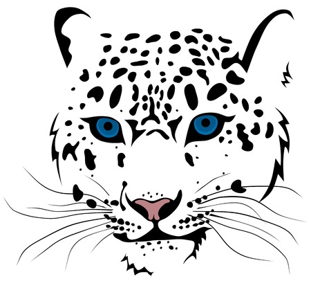 Abstract vector illustration of snow leopard barsのイラスト素材
