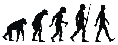 Abstract vector illustration of an evolution line