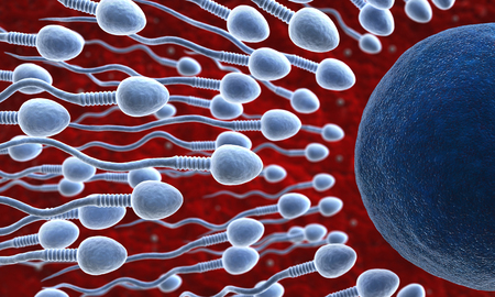 Abstract 3d render of sperm and ovumの写真素材