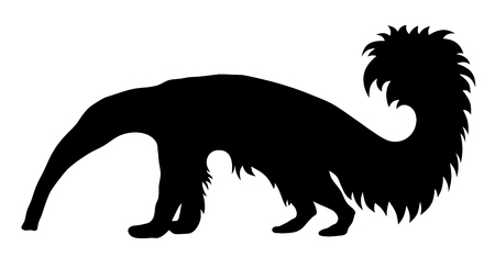 Vector illustration of giant anteater silhouetteのイラスト素材