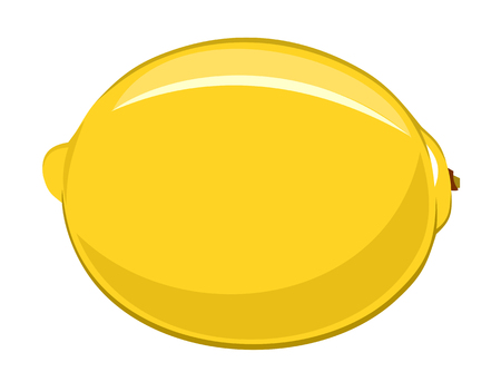 Vector illustration of lemmon on white backgroundのイラスト素材