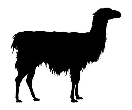Abstract illustration of an llama silhouetteのイラスト素材
