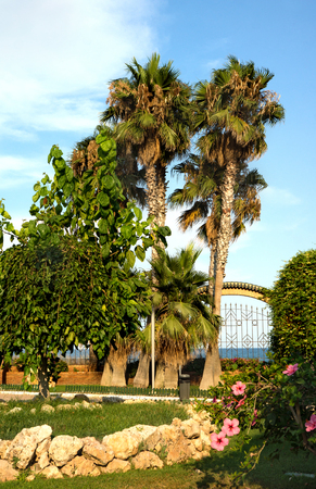 Oropesa del Mar, Spain - July 26, 2016: Picturesque Marina d'Or garden in the Oropesa del Mar resort town. Spainのeditorial素材