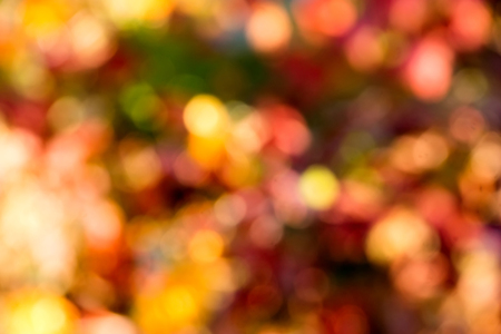 Abstract bokeh background for your designの写真素材