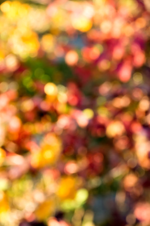 Abstract bokeh background for your designの写真素材