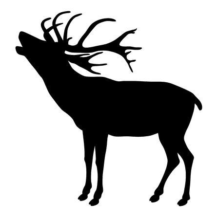 Vector illustration of deer silhouette on white backgroundのイラスト素材
