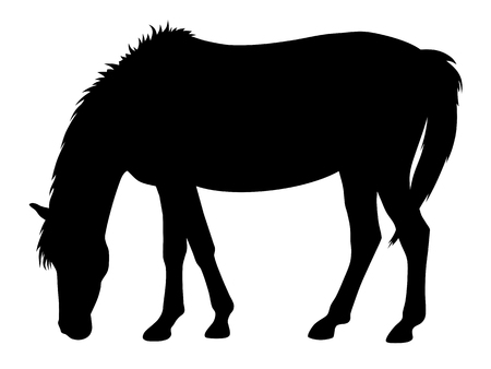 Vector illustration of horse silhouetteのイラスト素材