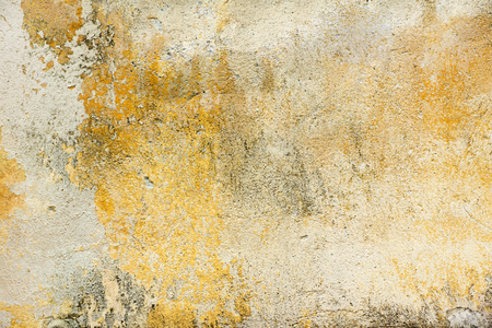 Detailed old abandoned wall textureの写真素材