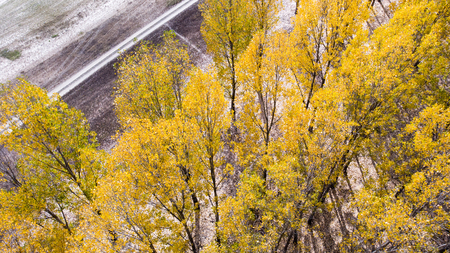 Aerial view of autumn sceneの写真素材