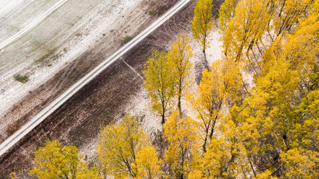 Aerial view of autumn sceneの写真素材