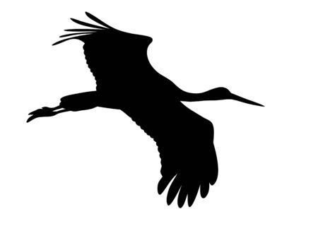 Vector illustration of flying stork silhouetteのイラスト素材
