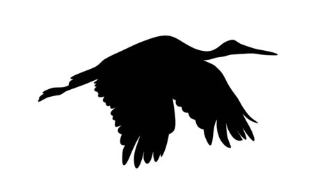 Vector illustration of flying stork silhouetteのイラスト素材