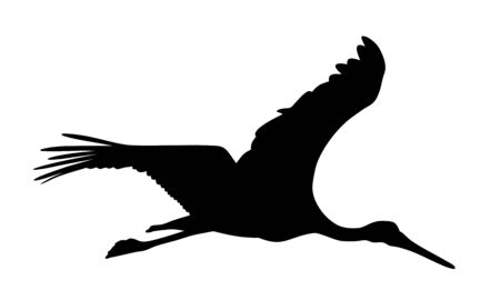 Vector illustration of flying stork silhouetteのイラスト素材