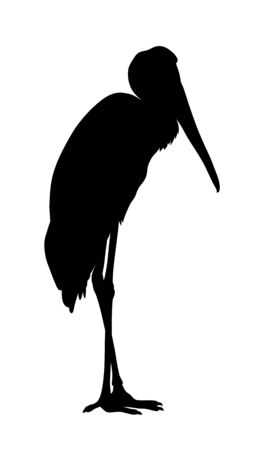 Vector illustration of standing Yellow billed stork silhouetteのイラスト素材
