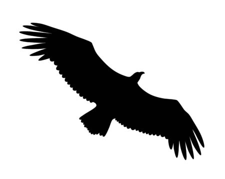 Vector illustration of flying Griffon vulture  silhouetteのイラスト素材