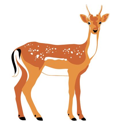 Vector color illustration of Deer sideのイラスト素材