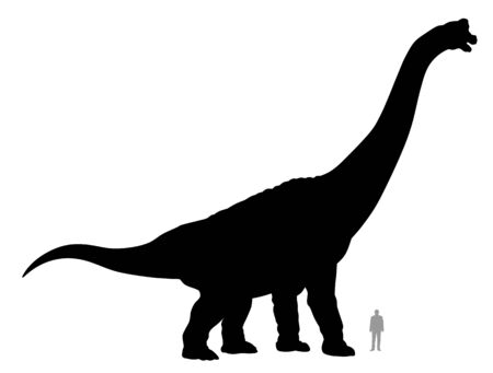 Vector illustration of silhouette of dinosaur brachiosaurus compared to a 1.80 m tall person.のイラスト素材