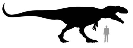 Vector illustration of silhouette of dinosaur Gigantosaurus compared to a 1.80 m tall person.のイラスト素材