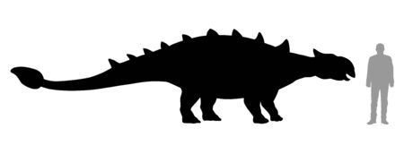 Vector illustration of silhouette of dinosaur Ankylosaurus compared to a 1.80 m tall personのイラスト素材