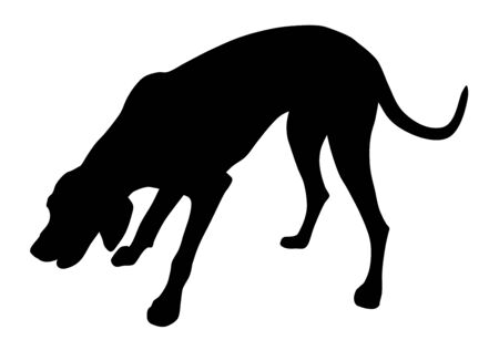 Vector illustration of hunting dog silhouetteのイラスト素材