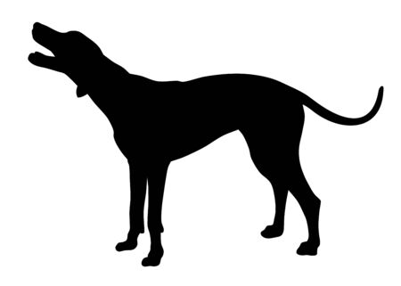 Vector illustration of hunting dog silhouetteのイラスト素材