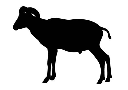 Vector illustration of goat silhouetteのイラスト素材