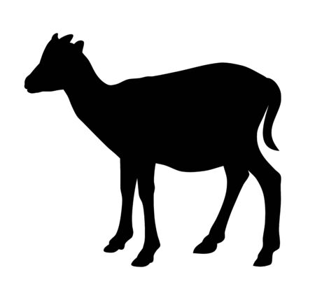 Vector illustration of goat baby silhouetteのイラスト素材