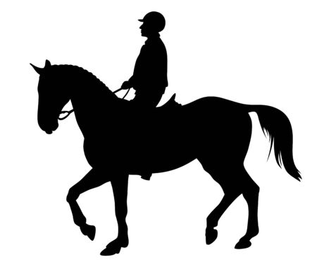 Vector illustration of horse and rider silhouettesのイラスト素材
