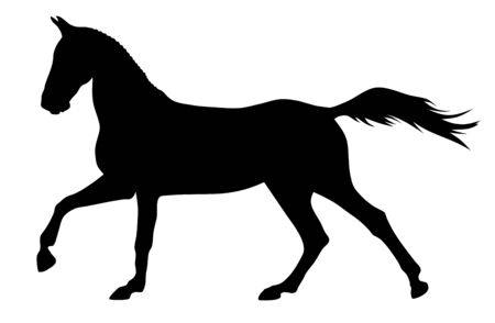 Vector illustration of running horse silhouetteのイラスト素材