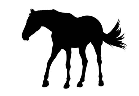 Vector illustration of horse silhouetteのイラスト素材
