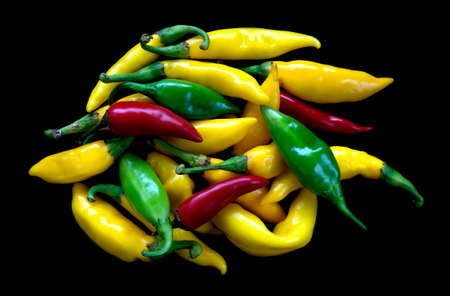 Multi colored chilies over black backgroundの写真素材