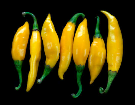 Yellow chilies over black backgroundの写真素材