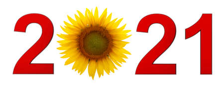 Conceptual 3d rendering of new year 2021 isolated over whiteの写真素材