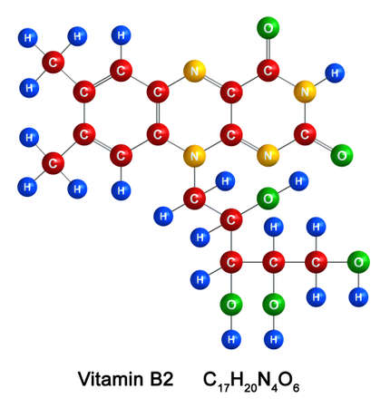 3d render of molecular structure of Vitamin B2 isolated over white background.
Atoms are represented as spheres with color and chemical symbol coding: hydrogen(H) - blue, carbon(C) - red, oxygen(O) - green, nitrogen(N) - yellow
