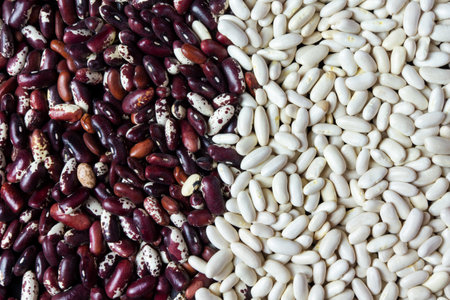Close up of different types of beansの写真素材