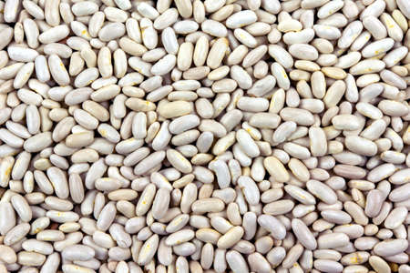 Close up of white type of beansの写真素材