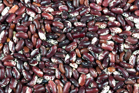 Close up of colorful type of beans