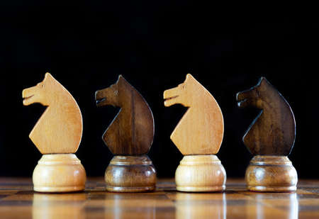 Chess poeces knights on chess boardの写真素材