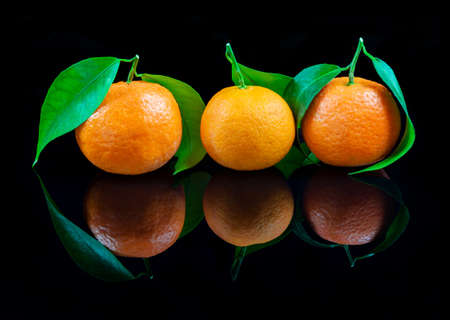 Tangerines on reflective black studio backgroundの写真素材