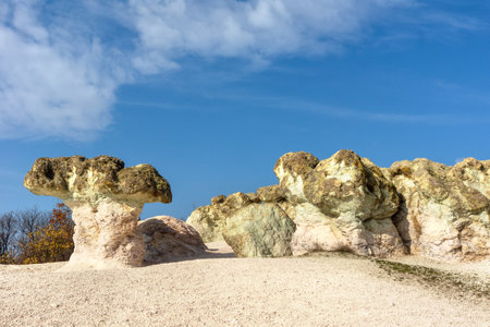 The natural phenomenon Stone mushrooms is located in Rhodopi mountain, Bulgariaの写真素材