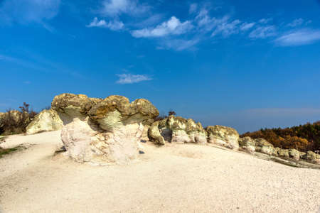 The natural phenomenon Stone mushrooms is located in Rhodopi mountain, Bulgariaの写真素材
