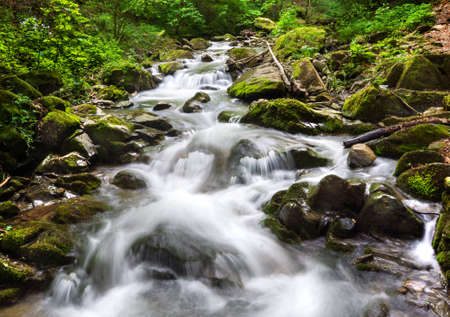 Mountain river near the town of Teteven, Balkan Mountains, Bulgariaの写真素材