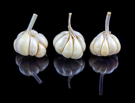 Garlic on black reflective studio backgroundの写真素材