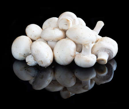 Mushrooms on reflective black studio backgroundの写真素材